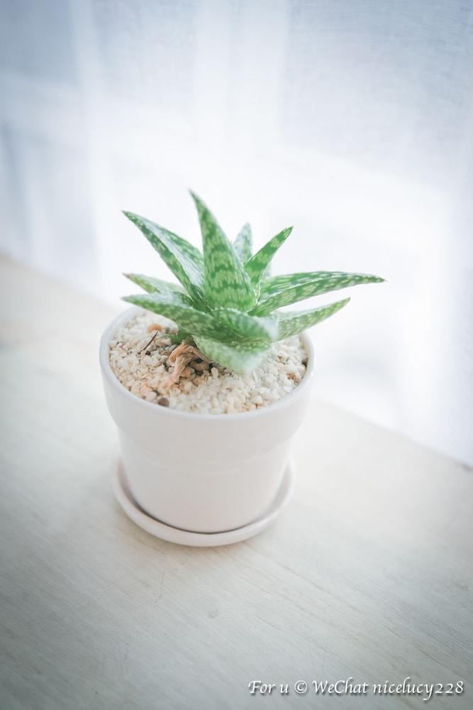Meesuk Boutique House 호텔 치앙마이 외부 사진